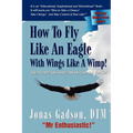 How to Fly Like an Eagle With Wings Like a Wimp! - Paperback