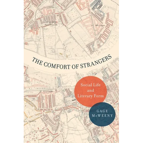 The Comfort of Strangers: Social Life and Literary Form - Paperback