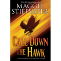 Call Down the Hawk (the Dreamer Trilogy, Book 1): Volume 1 - Hardcover