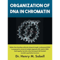 Organization of DNA in Chromatin - Hardcover