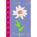 Love and Freindship - Paperback