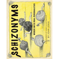 Schizonyms: Words with Dual Personalities - Paperback