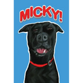 Micky! - Paperback