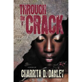 Through the Crack - Paperback