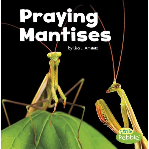 Praying Mantises - Paperback