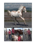 How to Identify and Release Your Horse's Pain Points: An Owner's Guide - Paperback
