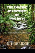 The Amazing Adventures of Two Boys: Bed Time Stories for Children - Paperback