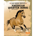 American Quarter Horse - Paperback
