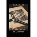 A Little Larceny in Lynmouth - Paperback