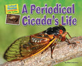 A Periodical Cicada's Life - Paperback