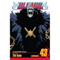 Bleach, Vol. 43 - Paperback