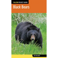 Black Bears - Paperback