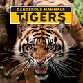 Tigers - Library Binding