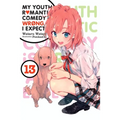 My Youth Romantic Comedy Is Wrong, as I Expected, Vol. 13 (Light Novel): Volume 13 - Paperback