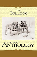 The Bulldog - A Dog Anthology (A Vintage Dog Books Breed Classic) - Paperback