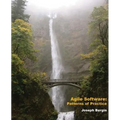 Agile Software: Patterns of Practice - Paperback