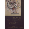 The Worlds Cause Lawyers Make: Structure and Agency in Legal Practice - Paperback