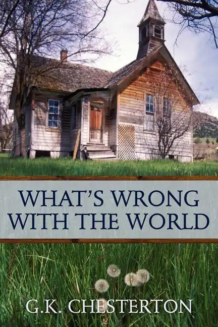 What's Wrong With the World - Paperback