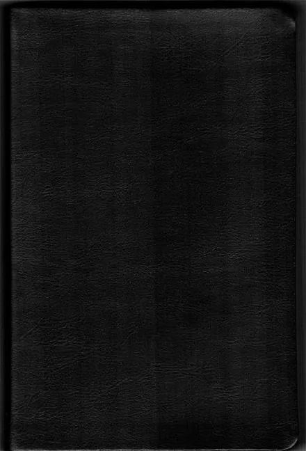 Rvr0 Spanish Bible with Jesus' Words in Red - Leather