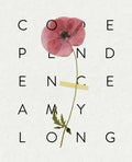 Codependence - Paperback