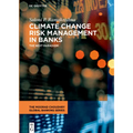 Climate Change Risk Management in Banks: The Next Paradigm - Hardcover