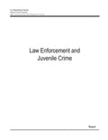 Law Enforcement and Juvenile Crime - Paperback