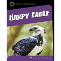 Harpy Eagle - Paperback