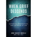 When Grief Descends: Suffering, Consolation, And The Book Of Job - Paperback