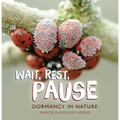 Wait, Rest, Pause: Dormancy in Nature - Paperback