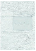Dado: Built and Inhabited by Rudolf Olgiati and Valerio Olgiati - Paperback