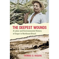 The Deepest Wounds: A Labor and Environmental History of Sugar in Northeast Brazil - Paperback