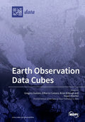 Earth Observation Data Cubes - Paperback