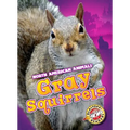 Gray Squirrels - Library Binding