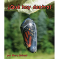 ¿Qué Hay Dentro?: What's Inside? - Paperback