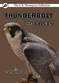 Thunderbolt the Falcon - Paperback