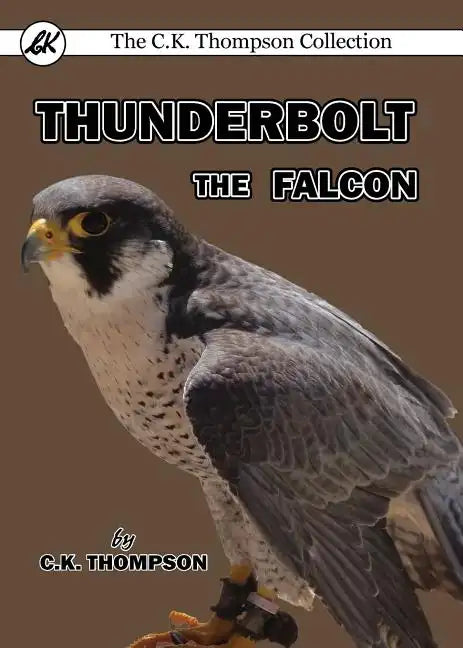 Thunderbolt the Falcon - Paperback