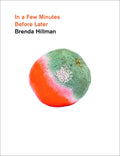 In a Few Minutes Before Later - Hardcover