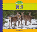 Deer - Library Binding