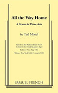 All the Way Home - Paperback