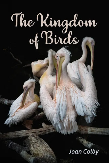 The Kingdom of Birds - Paperback