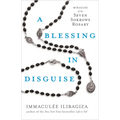 A Blessing in Disguise: Miracles of the Seven Sorrows Rosary - Paperback