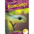 Boomslangs - Library Binding