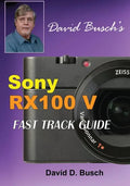 DAVID BUSCH'S Sony Cyber-shot DSC-RX100 V FAST TRACK GUIDE - Paperback