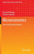 Microeconomics: Static and Dynamic Analysis - Hardcover