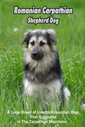 Romanian Carpathian Shepherd Dog: A Large Breed of Livestock Guardian Dogs That Originated in The Carpathian Mountains: What You Should Know About Rom - Paperback