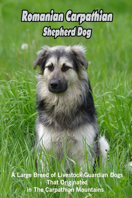 Romanian Carpathian Shepherd Dog: A Large Breed of Livestock Guardian Dogs That Originated in The Carpathian Mountains: What You Should Know About Rom - Paperback