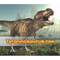 Tyrannosaurus Rex - Paperback