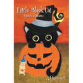 Little Black Cat Finds a Home - Hardcover