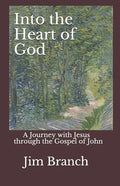 Into the Heart of God: A Journey with Jesus through the Gospel of John - Paperback