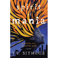 Spirit of Mania: Meant for Evil, Turned for Good A Novel - Paperback